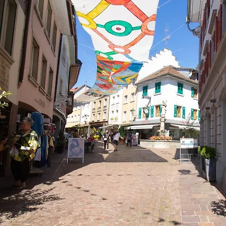 Loewe Gelb Tiengen Altstadt Apartment Waldshut-Tiengen