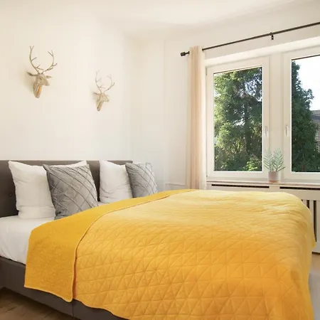 Loewe Gelb Tiengen Altstadt Waldshut-Tiengen