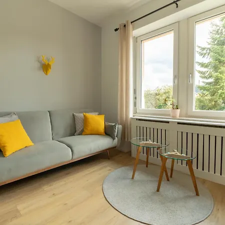 Loewe Gelb Tiengen Altstadt Waldshut-Tiengen