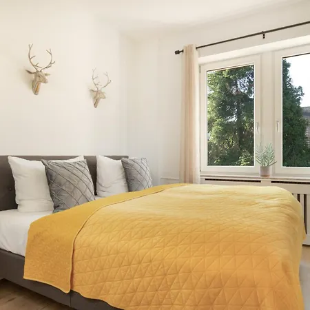 Loewe Gelb Tiengen Altstadt Waldshut-Tiengen